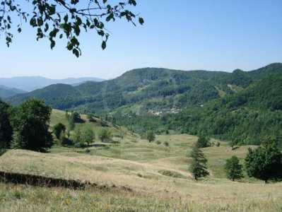 Land for sale, TECJ231944FLO-3