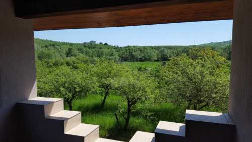 House for sale 5 rooms, CACJ287397-5