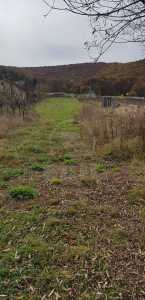 Land for sale, TECJ232852FLO-1