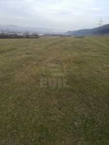 Land for sale, TECJ233085FLO-1