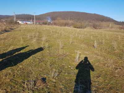 Land for sale, TECJ233452FLO-5