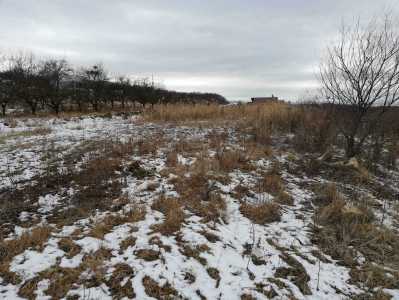 Land for sale, TECJ307931-2
