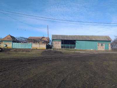 House for sale 2 rooms, CACJ307776-4