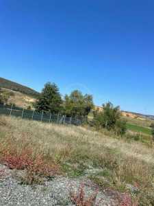 Land for sale, TECJ240738FLO-2