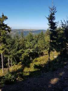 Land for sale, TECJ240864FLO-4