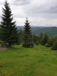 Land for sale, TECJ240864FLO-18