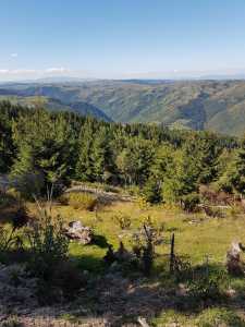 Land for sale, TECJ240864FLO-10