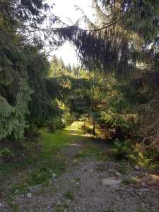 Land for sale, TECJ240864FLO-6