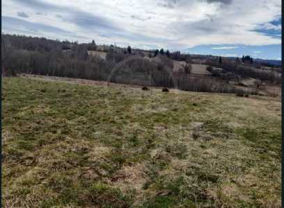 Land for sale, TECJ242053FLO-4