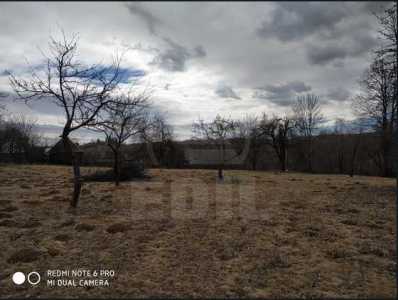 Land for sale, TECJ242044FLO-10