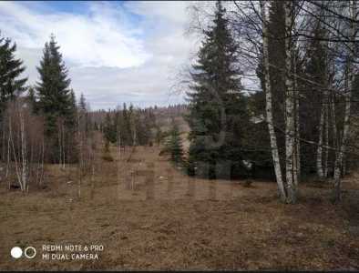 Land for sale, TECJ242046FLO-5