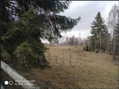 Land for sale, TECJ242046FLO-6