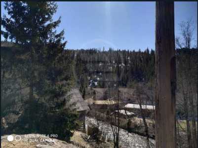 Chalet for sale 3 rooms, CBCJ242128FLO-15