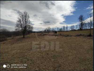 Land for sale, TECJ242048FLO-11