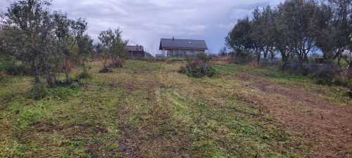 House for sale 4 rooms, CACJ332466-3