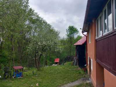 House for sale 2 rooms, CACJ337156-8