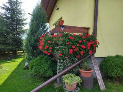 Chalet for sale 4 rooms, CBCJ244209FLO-19