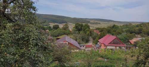 House for sale 5 rooms, CACJ338540-5