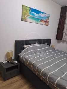 Apartment for rent 2 rooms, APCJ340406-1