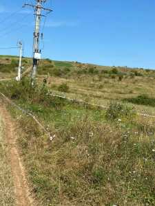 Land for sale, TECJ244796FLO-5