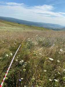 Land for sale, TECJ244796FLO-8