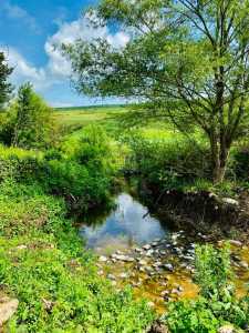 Land for sale, TECJ341308-3