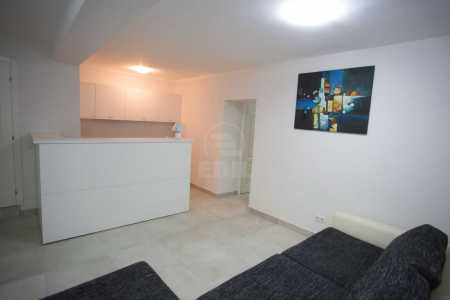 Apartment for rent 2 rooms, APCJ341256-15