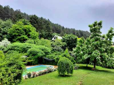 House for sale 6 rooms, CACJ245222FLO-11