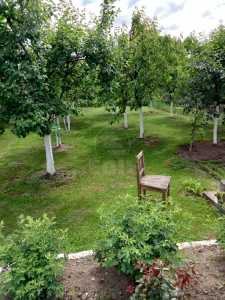 House for sale 3 rooms, CACJ342724-2