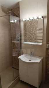Apartment for rent 2 rooms, APCJ343303-12