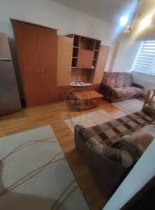 Apartment for rent 2 rooms, APCJ344532-6