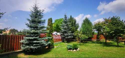 House for sale 4 rooms, CACJ245617FLO-3