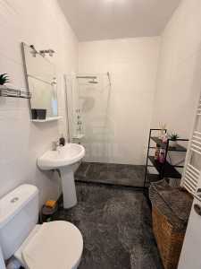 Apartment for rent 2 rooms, APCJ245618FLO-7