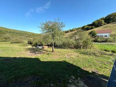 House for sale 4 rooms, CACJ245627FLO-6