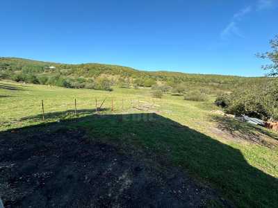 House for sale 4 rooms, CACJ245627FLO-7