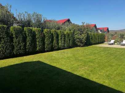 House for sale 4 rooms, CACJ245616FLO-3