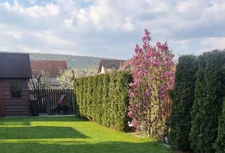 House for sale 4 rooms, CACJ245616FLO-10