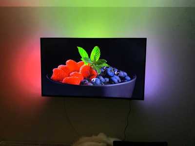 Apartment for sale 2 rooms, APCJ245702FLO-4