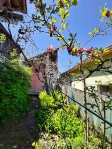 House for sale 2 rooms, CACJ346014-6