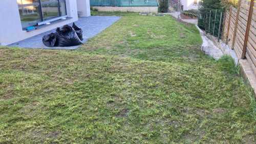 Apartment for sale 5 rooms, APCJ346593-3