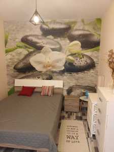 Apartment for rent 2 rooms, APCJ348229-15