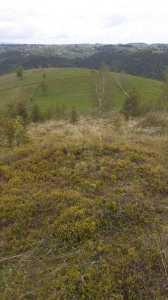 Land for sale, TECJ246415FLO-5