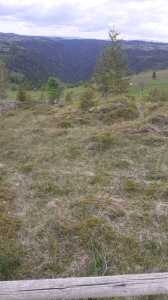 Land for sale, TECJ246415FLO-13