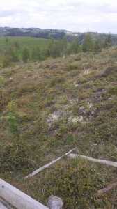 Land for sale, TECJ246415FLO-14