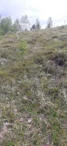 Land for sale, TECJ246415FLO-15