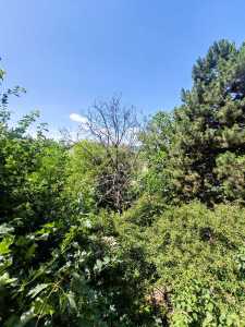 Apartment for rent 2 rooms, APCJ351684-15