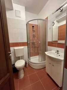 Apartment for rent 5 rooms, APCJ352190-11