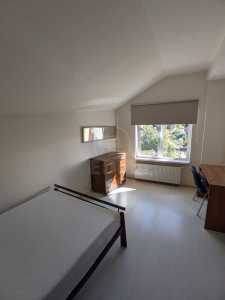 Apartment for rent 3 rooms, APCJ354402-8