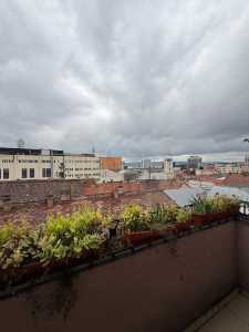 Apartment for rent 3 rooms, APCJ354783-26