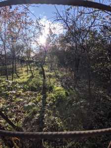 House for sale 2 rooms, CACJ355249-10